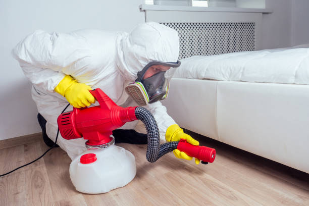 Best Best Pest Control Companies  in Wimberley, TX